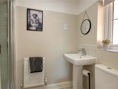 Picture 14